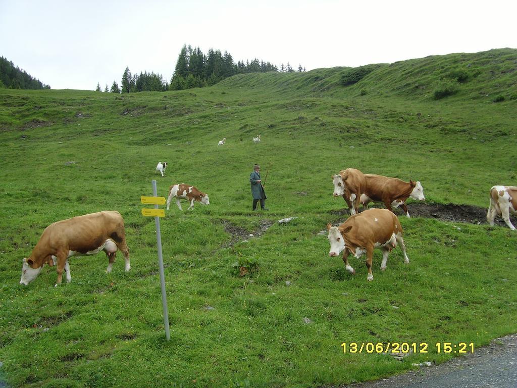 Feriendorf Ponyhof Fusch an der Grossglocknerstrasse Exterior photo